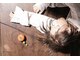 バレッタ Baletta*の写真