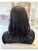 波セミディ