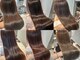 シェルベアー(Shell Bear)の写真