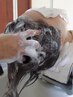 リラクゼーションスパコース30分【頭・首・肩】