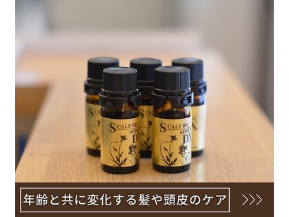 アコット(Acot)の写真