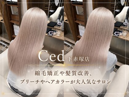 シード 成増 下赤塚店(ced.)の写真