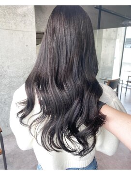 ヴェーレン(Wehlen) ダークグレージュ