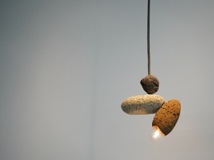 ジル(dill)の写真