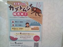 フワリ(Fuwari)