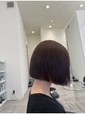 うちにおさまるボブ