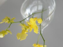 ス キョウト(su kyoto)の雰囲気（鴨川の空を眺め、４席のみの贅沢な時間を。）