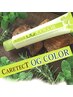 4月から新店舗用カット+カラー低刺激のハーブカラー グレイカラー リタッチS