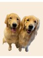 ジューク(19) 一休とのび太と言います!ゴールデンレトリバーをしています!