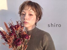 シロ(shiro)