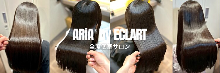 アリアバイエクラート 新宿南口店(ARiA by ECLART)のサロンヘッダー