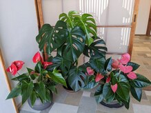 …思わず『こんにちは～』っと入って来てくださいます(^^)♪