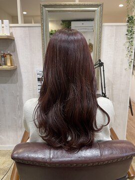 ルヴェール 本店(LeVert) レッドブラウンカラー◎