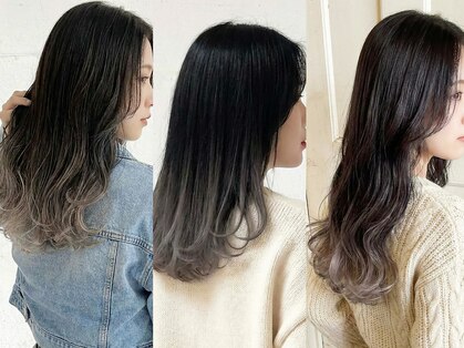 サンティエ(scintiller)の写真