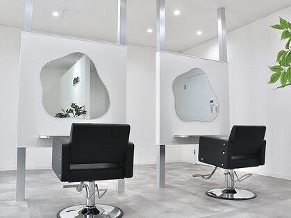 ナッティー(natty)の写真