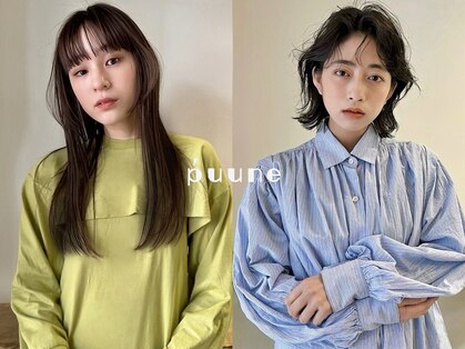 プーネ(puune)の写真