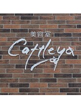 美容室 Cattleya