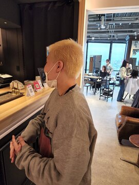 ブロック ジャポン(bloc japon) ハイトーンボウズ