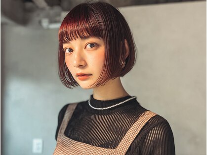 ベッラ(Bella)の写真