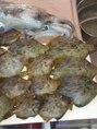 ラグヘアー(RAG HAIR) 釣った魚で美味しい食事を…♪