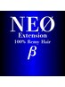 【100%人毛よりも良い毛質◎】100%レミーヘアシールエクステ40枚