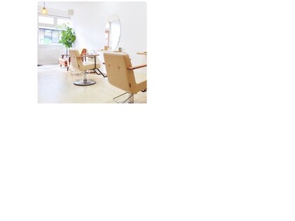 テッテ(Tette)の写真