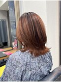 ミディアムウルフ