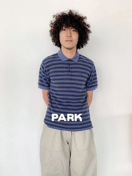 パーク(PARK) ツイスパツイストスパイラルパーマアフロハードパーマ