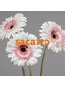 カット+矯正ストレート+スパ+プレミアムトリートメント ￥29150→￥23320