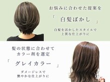 アプシー 南が丘本店(apsee)の雰囲気（悩みに合わせた白髪ぼかしをご提案。大人の魅力を引き出します！）