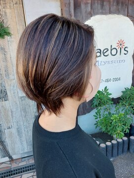 タエビスアリッサム(Taebis Alyssum) 3Dカラー(イルミナカラー、北習志野)