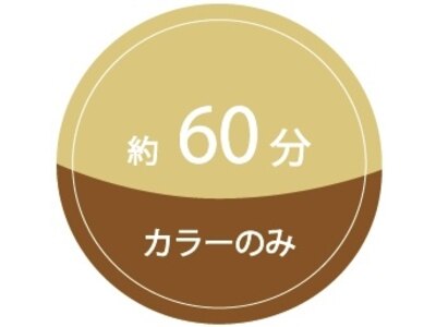 塗布とシャンプーはプロにお任せ