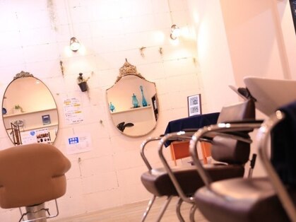 シーヘアーの写真