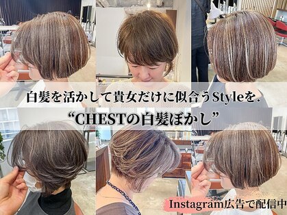 チェスト 神戸本店(CHEST)の写真