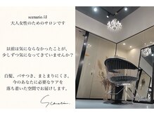 シナリオ(scenario.)