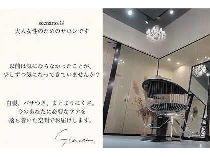 シナリオ(scenario.)の写真