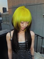 シティ オモテサンドウ(CITY omotesando)&nbsp;ハッシュレイヤー×ライムカラー
