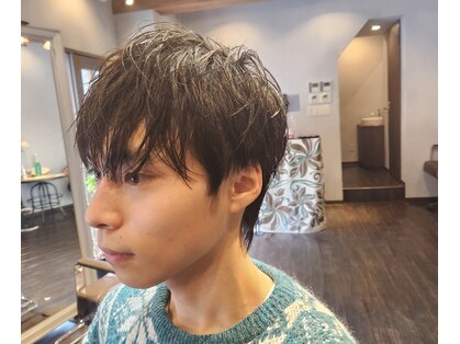 ピリナ(Pilina)の写真