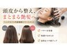 【新規20%OFF】 頭皮から整えるスパ＋内部補修時短トリートメント
