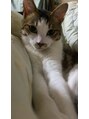 アグ ヘアー エクラ 津志田店(Agu hair eclat) 猫飼ってます!