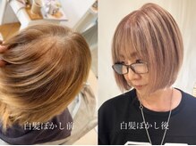 ラウレア(LAULEA)