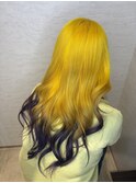 高発色イエロー×裾パープル