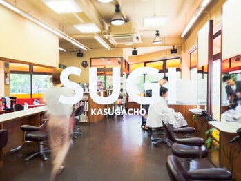 SUGI【スギ】