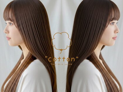 コットン(cotton)の写真