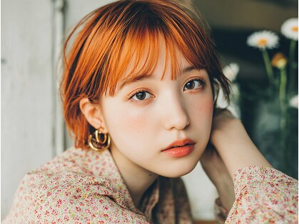 ベッラ(Bella)の写真