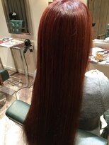 ロココ(rococo.)&nbsp;rococo.プレミアムフルコース