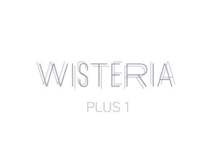 ウィステリアプラスワン 銀座一丁目(WISTERIA PLUS1)の写真