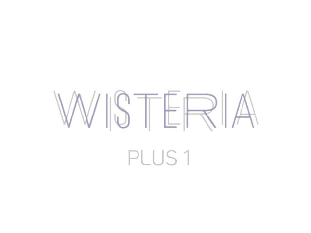 ウィステリアプラスワン 銀座一丁目(WISTERIA PLUS1)