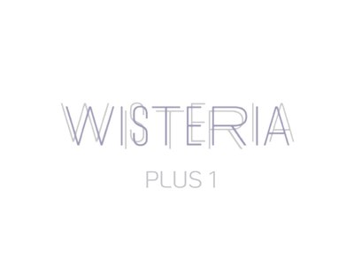 ウィステリアプラスワン 銀座一丁目(WISTERIA PLUS1)