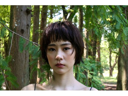 ニテンス(nitens)の写真
